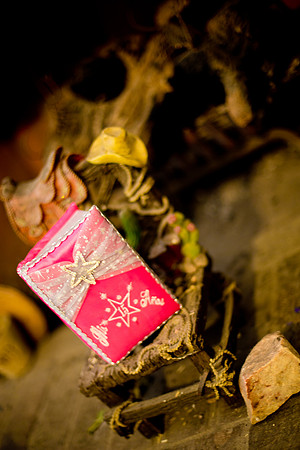Rosy_Event_0008