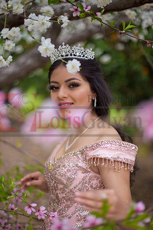 Natalie XV_0018