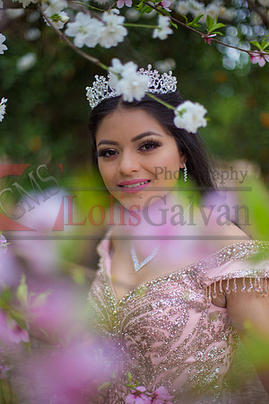Natalie XV_0023
