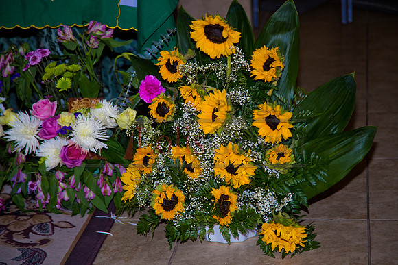 Nestor y Hermelinda_0009