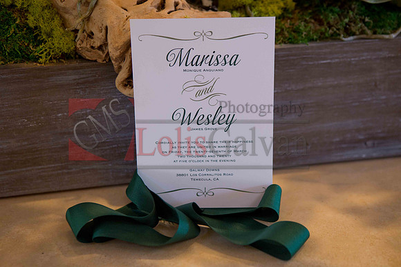 Weslie & Marissa Wedding _0025