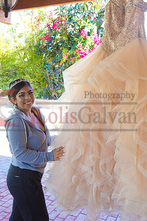 Ashley Villamil Event Reary_0059