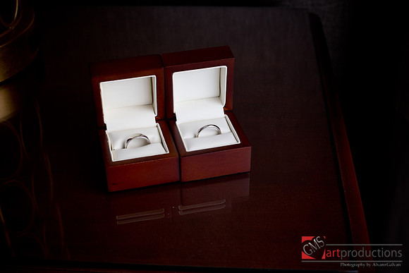Hanna_and_Tony_event_0022