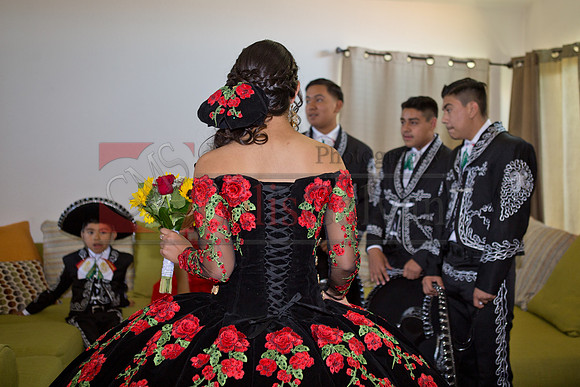 IMG_1589
