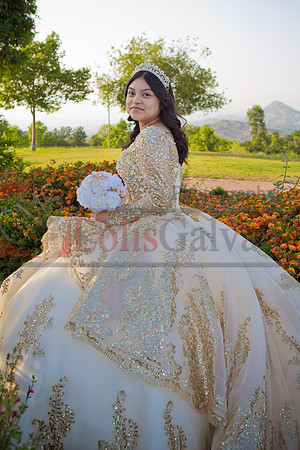 IMG_7395-Edit