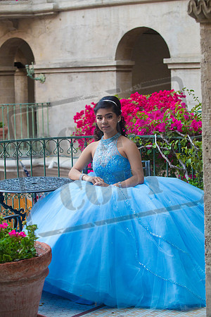 Daphne_Pre_0208