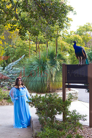 Gabriela Pre-Pictures Reary_0004
