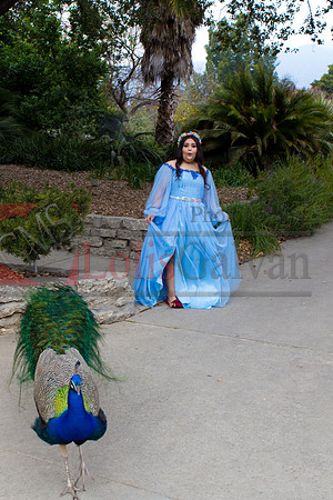 Gabriela Pre-Pictures Reary_0007