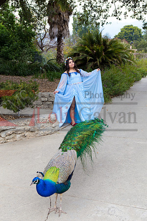 Gabriela Pre-Pictures Reary_0008