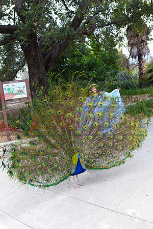 Gabriela Pre-Pictures Reary_0012