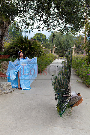 Gabriela Pre-Pictures Reary_0016