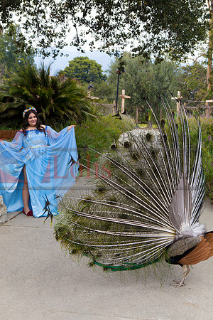 Gabriela Pre-Pictures Reary_0017