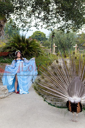Gabriela Pre-Pictures Reary_0018