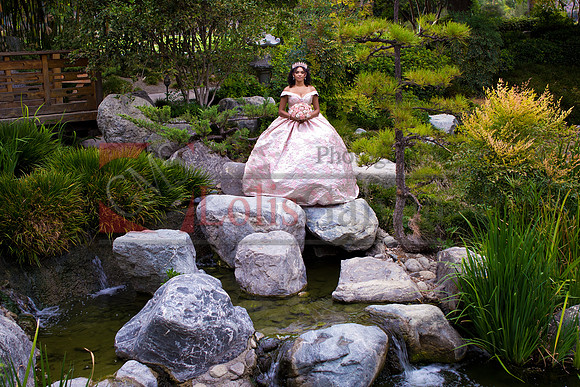 IMG_5586-Edit-Edit