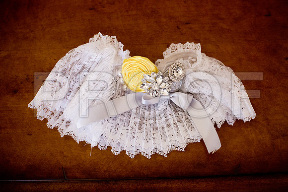 Liz_and_Michael_Event_0028