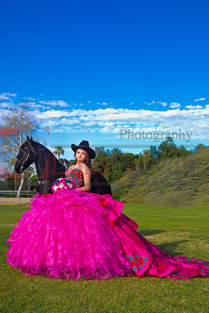 IMG_1795-Edit