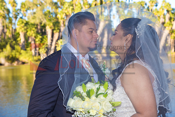 IMG_2322-Edit