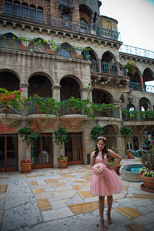 ISEL Pre- Session_0114