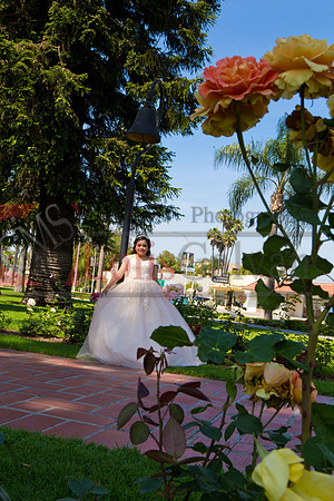 Melissa Pre- Session 06.14.19_0043