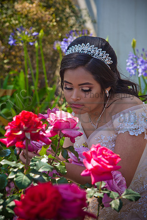 Melissa Pre- Session 06.14.19_0070