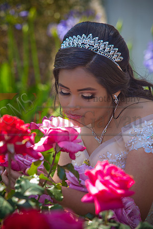 Melissa Pre- Session 06.14.19_0071