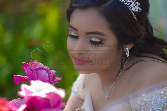 Melissa Pre- Session 06.14.19_0079
