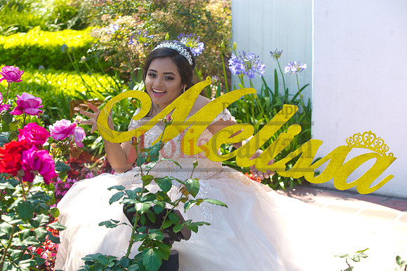 Melissa Pre- Session 06.14.19_0082