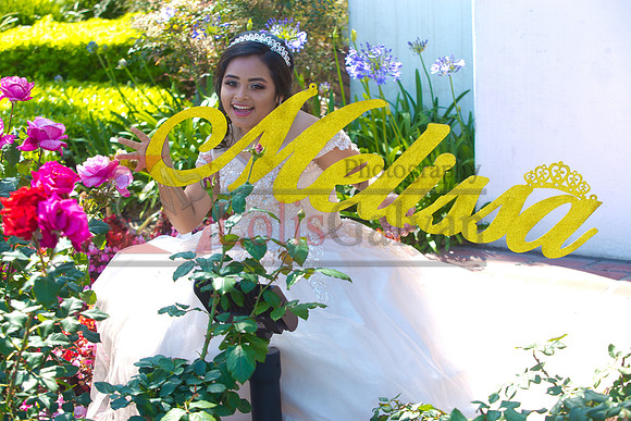 Melissa Pre- Session 06.14.19_0083