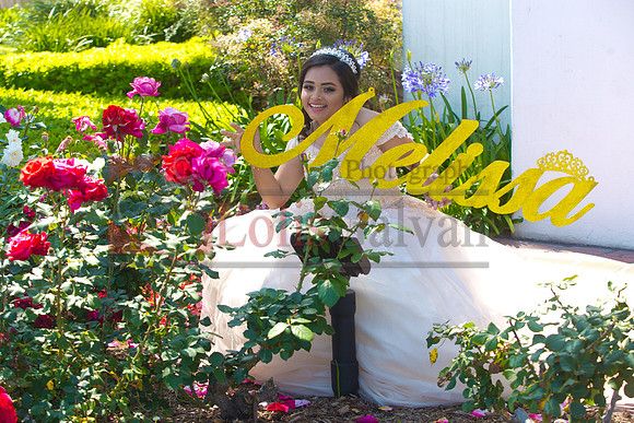 Melissa Pre- Session 06.14.19_0084