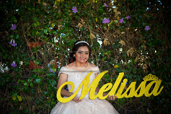 Melissa Pre- Session 06.14.19_0106
