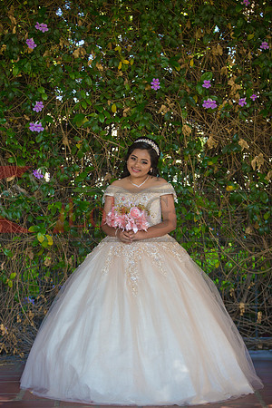 Melissa Pre- Session 06.14.19_0121