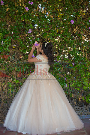 Melissa Pre- Session 06.14.19_0132