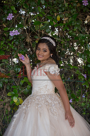 Melissa Pre- Session 06.14.19_0144