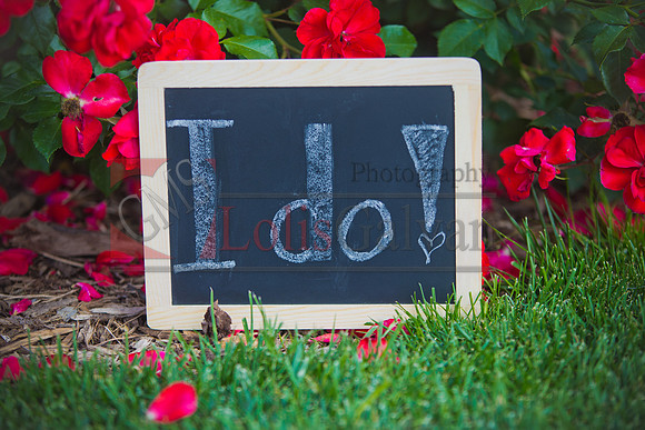 EDWIN & DAHIRA_0013