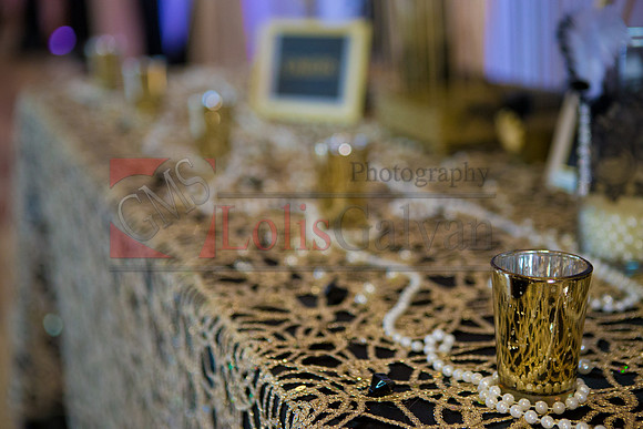 Laura 60 Bday_0121