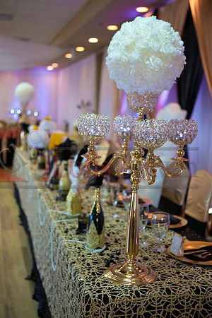 Laura 60 Bday_0122