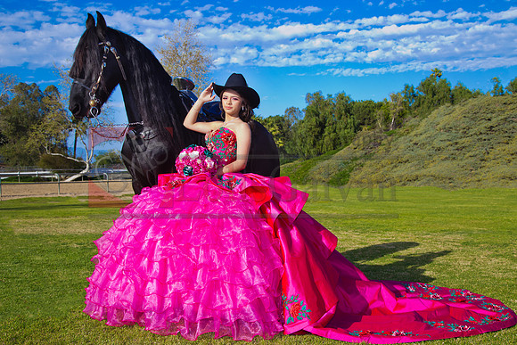 IMG_1776-Edit-Edit