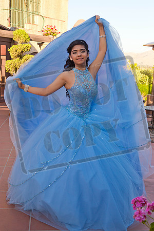 Daphne_Pre_0082