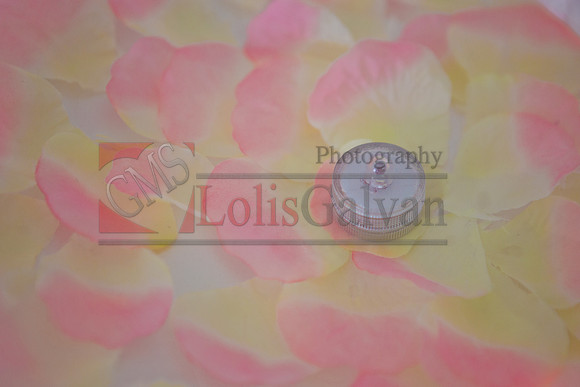 Melissa 06-14-19 Event R_0020