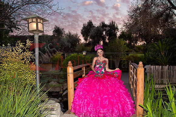IMG_1870-Edit