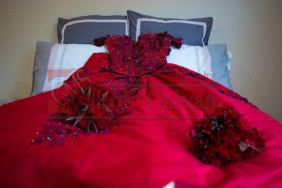 Cassandra Mis QUINCE_0019