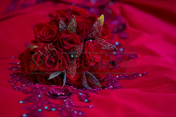 Cassandra Mis QUINCE_0018