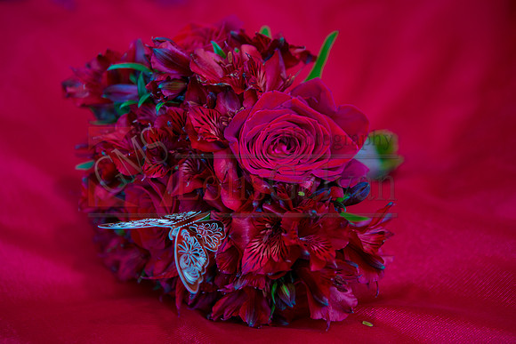 Cassandra Mis QUINCE_0013