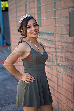 SAMANTHA Mis QUINCE_0009