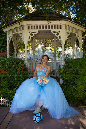 SAMANTHA Mis QUINCE_0089