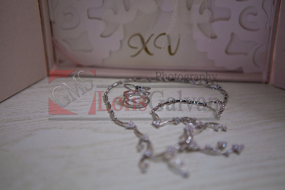 ISEL  Mis QUINCE EVENT_0028
