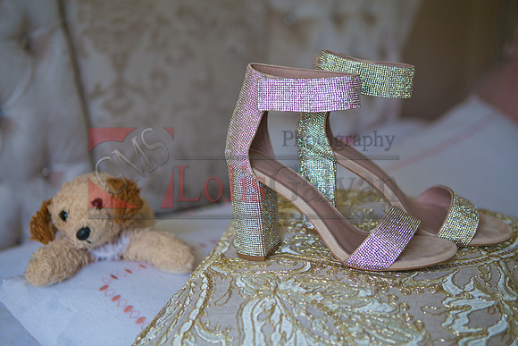 ISEL  Mis QUINCE EVENT_0037
