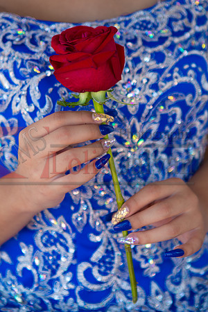 MARITZA  Mis QUINCE EVENT_0216