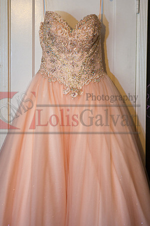 Anahi Felix Mis Quince Event R_0001