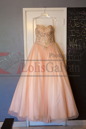 Anahi Felix Mis Quince Event R_0003